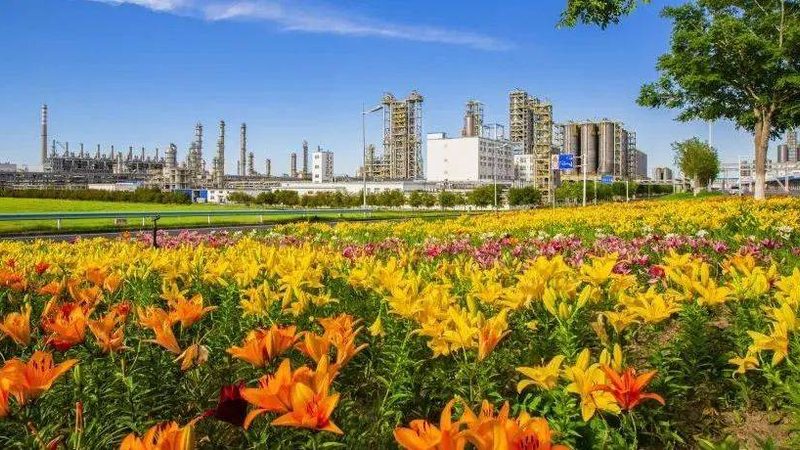 进口塑料原料在上海：如何选择合适的供应商**