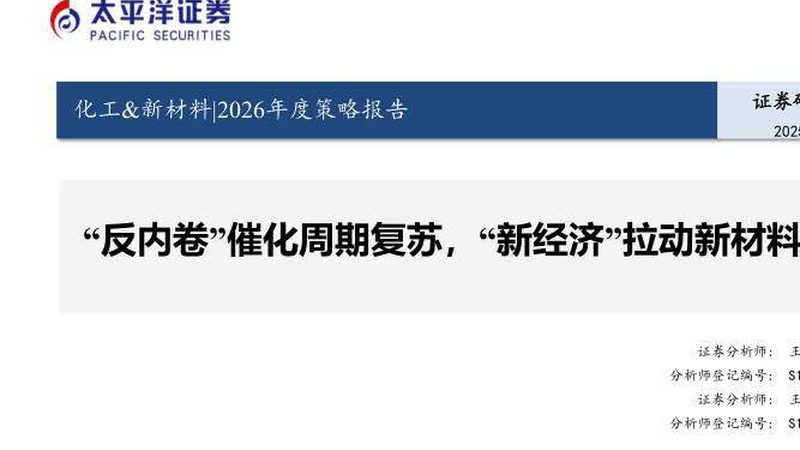 天然防腐剂与化学防腐剂：批发报价背后的考量**